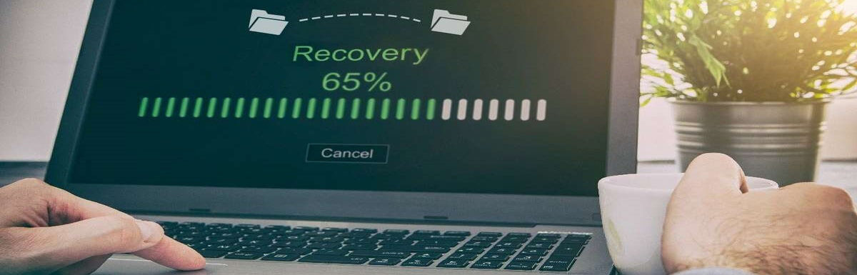 5 Ways To Recover Deleted Data in Windows 11